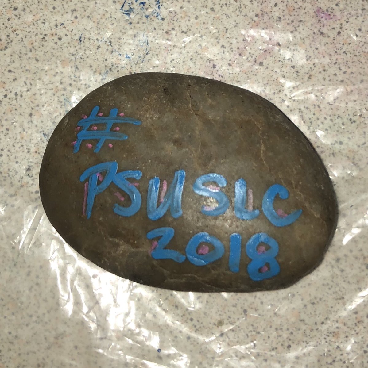 PSUSLC's tweet photo. Be kind with kindness rocks! #PSUSLC2018 https://t.co/t42GHm02Ub