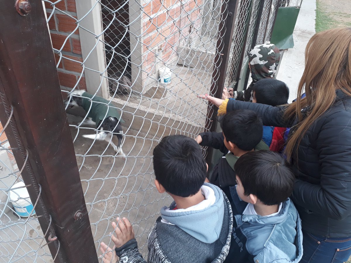 LucasAnimalito's tweet photo. Hermosa visita de alumnos de 2do. grado Esc. René Favaloro al Centro De Adopciónes @MuniSalta,  P.E.P.A Programa Educativo de Protección Animal. Muchas gracias @CristinaGomezOK @GustavoSaenzOK 
#EducandoElCorazon https://t.co/ZUgPTeEwkk