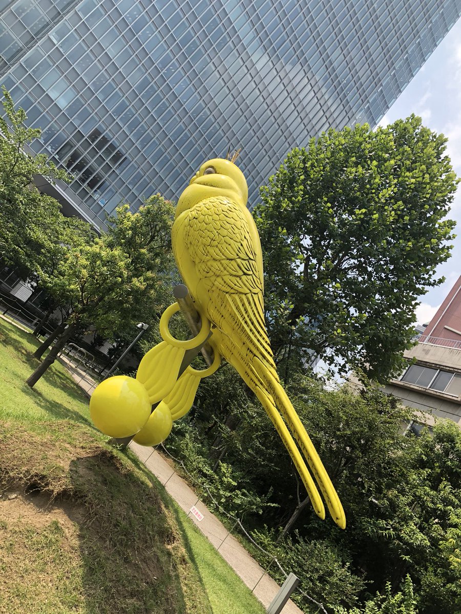 Miyuki 幹二さん おかえりなさい これは しあわせの黄色い鳥だ わたしのラッキーカラーは黄色なのですが あまり黄色いグッズが見つからなくて 最近この巨大 インコを待ち受けにしていたんです このシンクロが嬉しいから 今日はどんなに暑くて