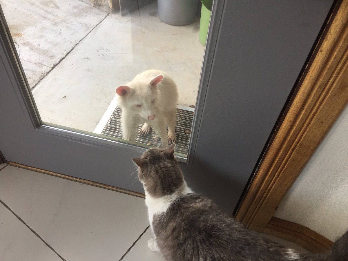 travis brown tweet media