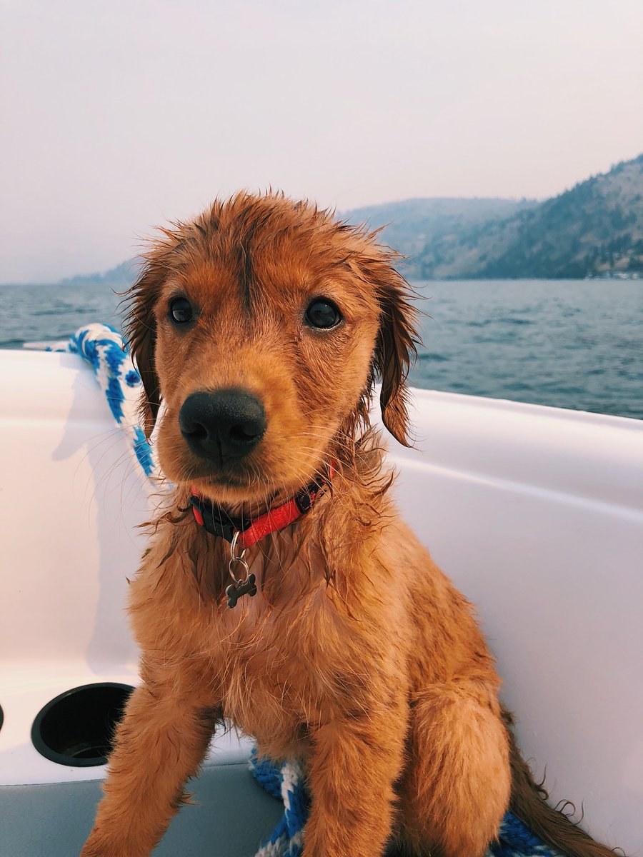 kaseyyywinter's tweet photo. baby’s first boat ride :-) https://t.co/7WwkVu5Lcd