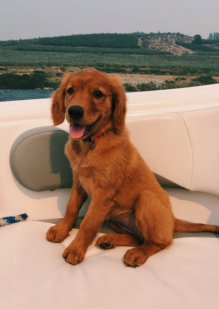 kaseyyywinter's tweet photo. baby’s first boat ride :-) https://t.co/7WwkVu5Lcd