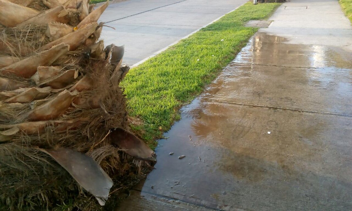DomenicoY's tweet photo. @AguasdelValle como puedo saber con quien solucionar una fuga de agua existente en la calle el santo con las higueras... espero puedan ayudarme https://t.co/SPqelaVbrA
