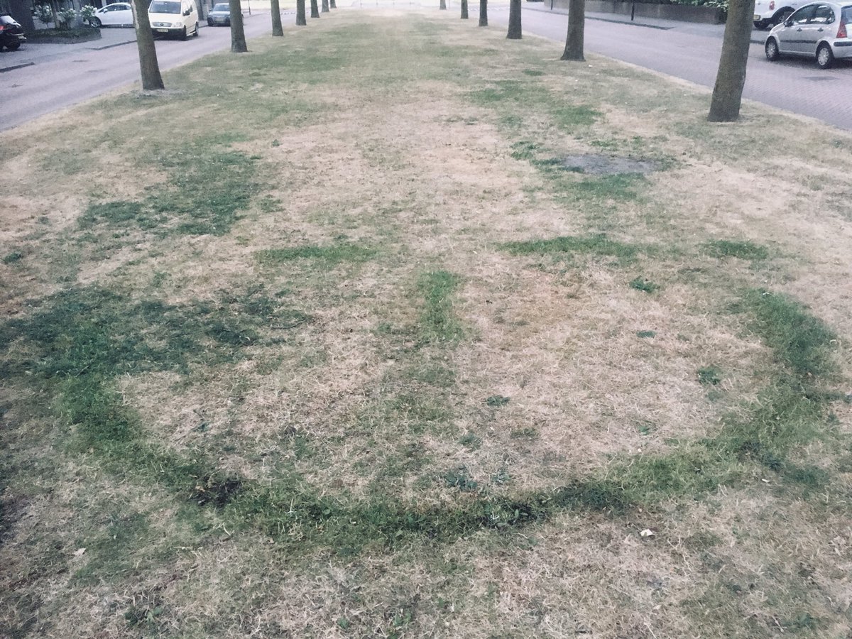 #burendag073 #grastekening