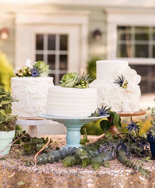 carriescakesut's tweet image. Don’t just have a white cake- include texture to make it even more gorgeous!! 💕
Photo: @breannawhite_photo 
Florist: @everybloomingthingslc
.
.
.
#realcake #cakeartist #cakeideas #carriescakes #utahcakeartist #cakeinspo #weddingcake #utahweddings #wh… ift.tt/2OzPI8e