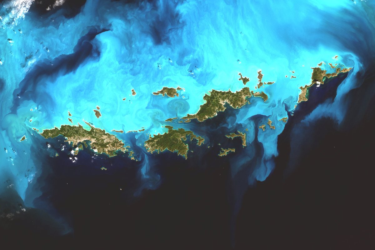 Ian Grasshoff tweet media