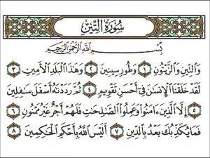 AN___FAL's tweet photo. نسألكم الدعاء وقراءة الفاتحة وسورة التين على روح امل عبد الحي على فراج فضلاً وليس أمراً ولكم الثواب 🌸 https://t.co/GZj7CPRbRP