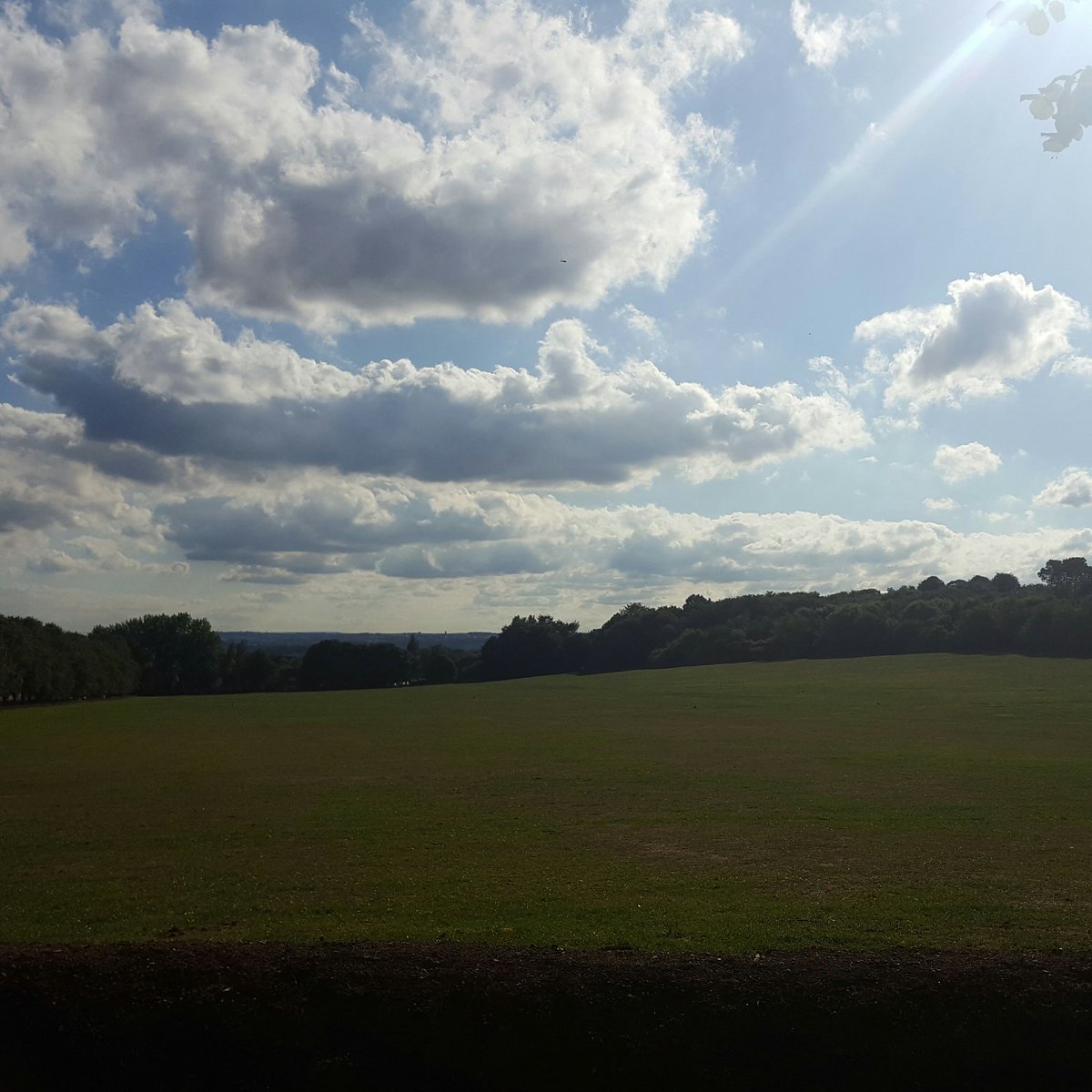 FriendsofKingAl's tweet image. #NewProfilePic