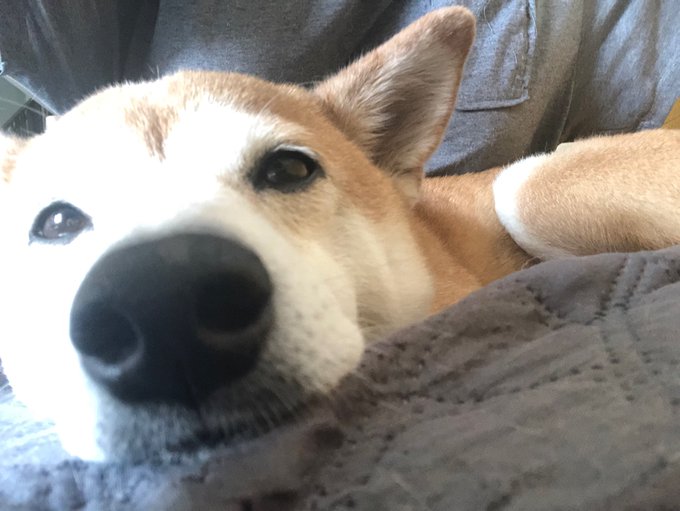 *boop* https://t.co/sTeY2xREi2