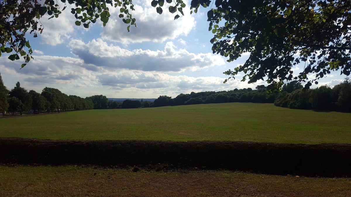 FriendsofKingAl's tweet image. 