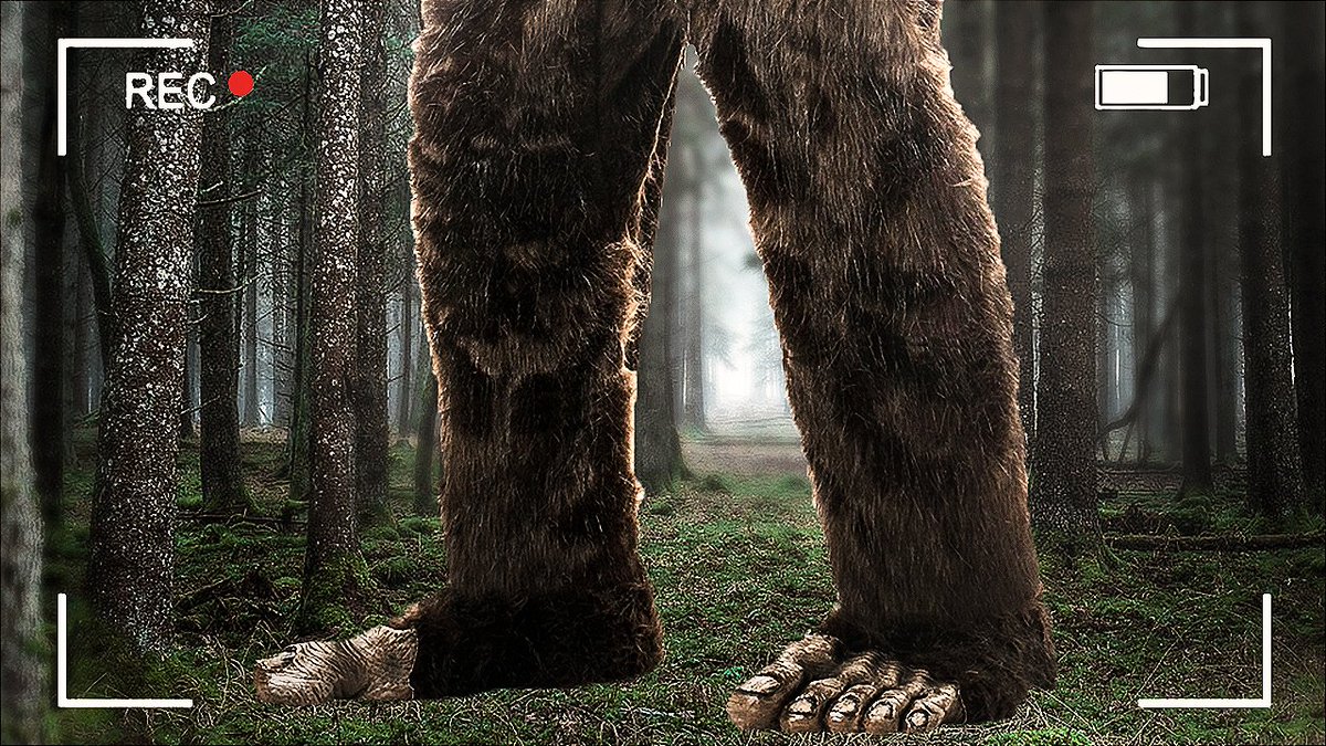 Today @SamaraRedway and I are headed back into the wilderness to find Bigfoot after a HUGE update to the Finding Bigfoot Game!! Watch it here: youtube.com/watch?v=mPcbKo…