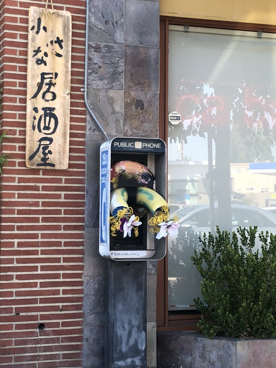 Travis Schneider tweet media