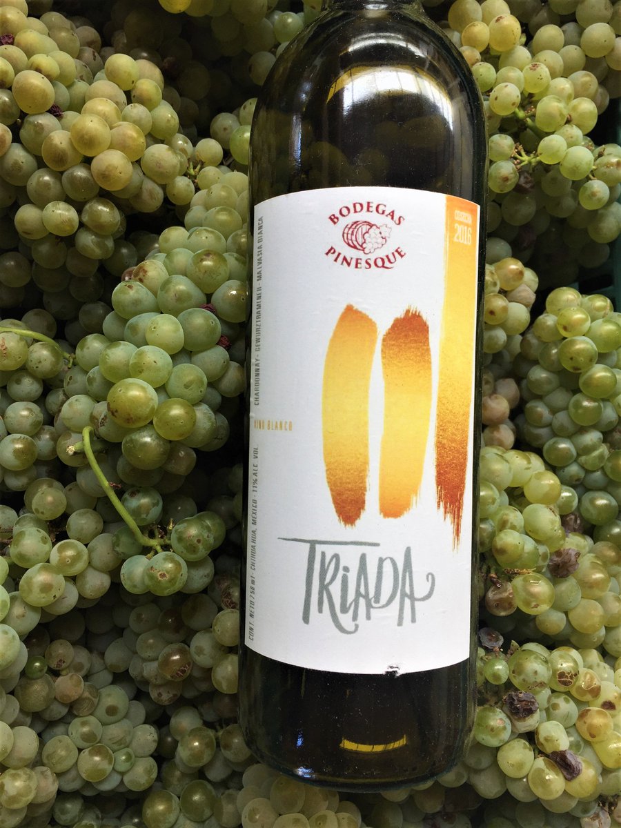 Bodegas Pinesque tweet media