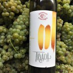 Photo by Bodegas Pinesque (@pinesque)