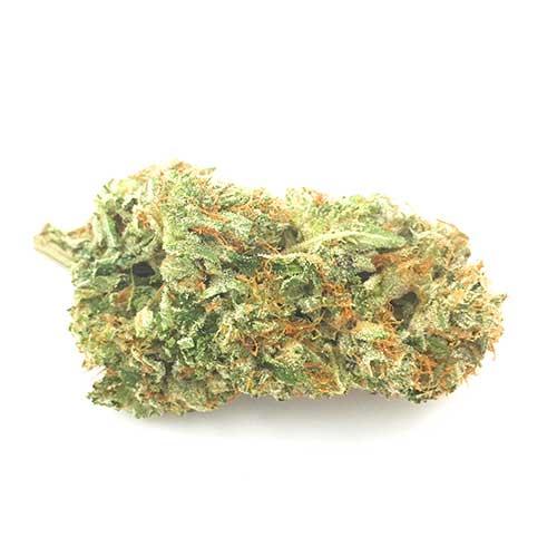 getwhitepalm's tweet image. &apos;Greasy&apos; Ghost Bubba is named specifically after the South Coast master grower: Ghost. It&apos;s a combination of the &apos;Greasy&apos; Pink Bubba with Death Bubba. It hits HARD. We have to wait 3-4 months whenever we sell out because it&apos;s grown in such small batches to ensure quality. #GWP