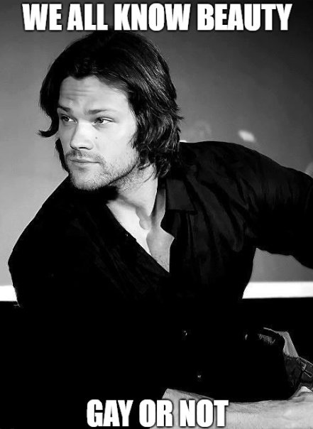Laboloola's tweet photo. Taste is taste, in whatever form it comes.
#GISHMeme #SPNFamily @jarpad #GISH https://t.co/QFU7Cb8J20