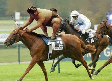 justracingcomau's tweet photo. Bet on the jockey, not on the horse.😂🤣
.
.
.
.
.
#Justracingcomau #justracing #horseracing #punt #onthepunt #racingmemes #racingtips #horse #horses #racingaustralia #magicmillions #saturdayraces #flemington #randwick #ascot #morphetville #mooneevalley #thoroughbred https://t.co/24UIhZoJXA