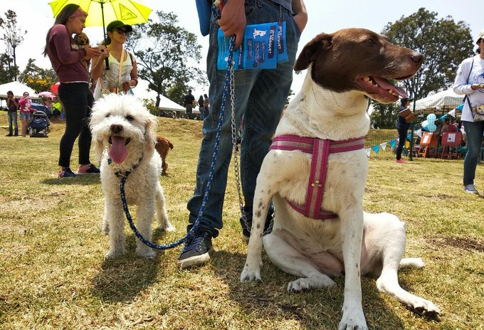 Ver imagen en Twitter