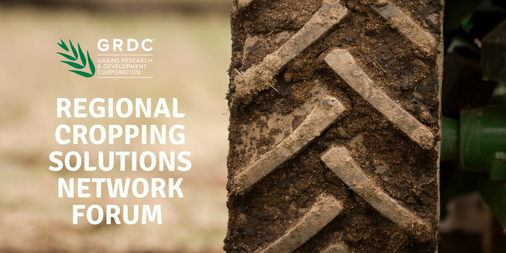 theGRDC's tweet photo. Come along to your regional cropping solutions network forum next week. In the West - Bruce Rock, Westonia and Bencubbin. What will make the difference to farming profitability in your area? Come along and have your say: https://t.co/afxIJOYHon https://t.co/s312EakB5X