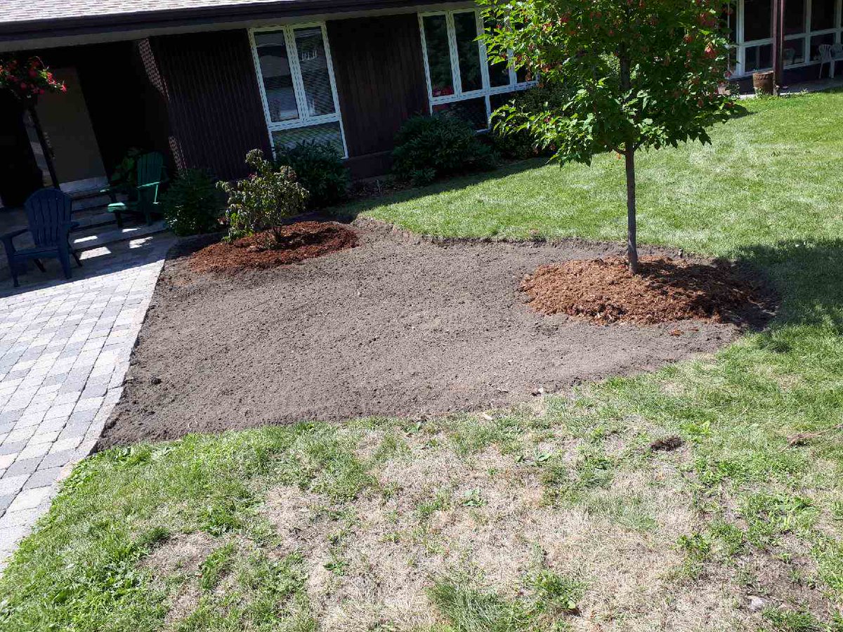 angelinagardens's tweet photo. We created this garden for a client. We dig out grass, till soil, plant corkscrew hazel. Now, pissibilities? #butterflygarden #ottawagardening https://t.co/hxY4oxW7gY