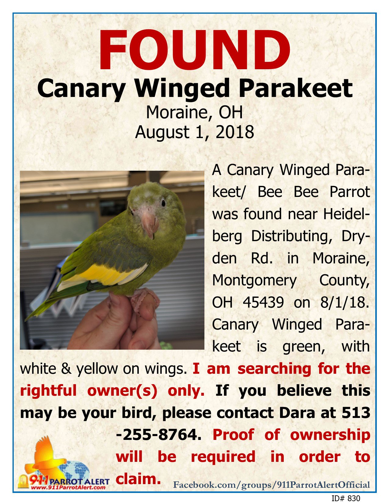 911parrotalert Found Canary Winged Parakeet Bee Bee Parrot 8 1 18 Moraine Montgomery County Oh Fb Post T Co H0x4ffxal3 911parrotalert Foundbird Foundparrot Foundcanarywingedparakeet Foundparakeetoh Foundbirdofoh