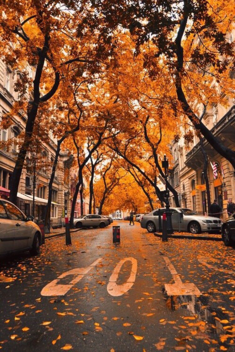 coffee_words's tweet photo. Who’s ready?🍁☕️ https://t.co/1EWQzQRz9n