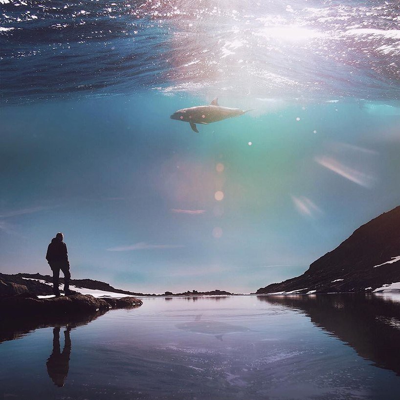 Interior Ideas tweet media