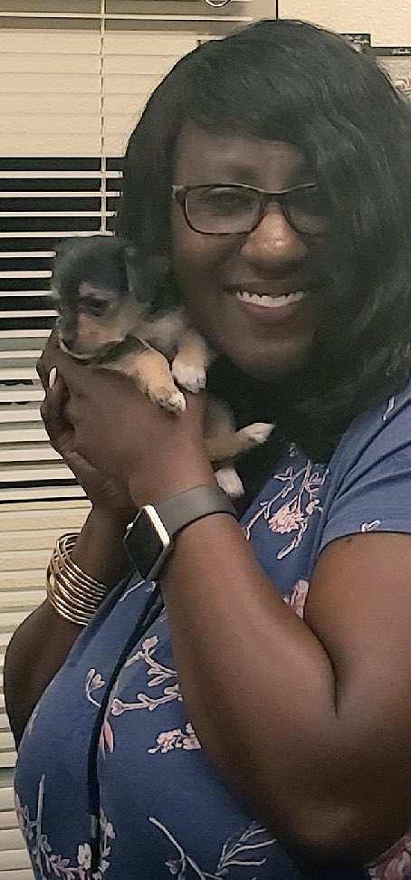 slawsonlisd's tweet photo. I don’t have a pet, but luckily I was able to borrow this cutie  for my #LVESsummer selfie challenge!! #cutenessoverload #puppy❤️#theponyway https://t.co/9jrJtxEXv3