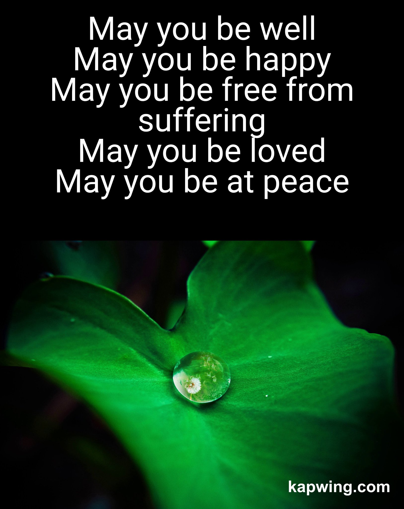 Traumawisdom May You Be Well May You Be Happy May You Be Free From Suffering May You Be Loved May You Be At Peace Mettaprayer Lovingkindness Selfcare T Co Jqxtfmdiki Traumawisdom May You Be Well May You Be Happy May You Be Free From Suffering May You Be Loved May You Be At Peace Mettaprayer Lovingkindness Selfcare T Co Jqxtfmdiki