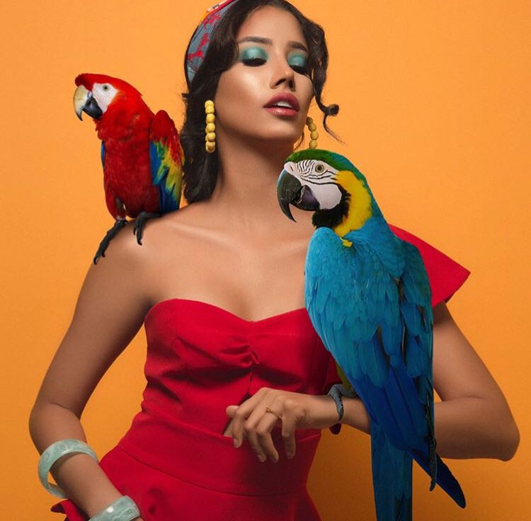 PanamaDisena's tweet photo. La nueva edición de #Altamoda2018 trae una Colección Crucero inspirada en las aves y el trópico de Panamá. de la mano de nuestros Diseñadores Nacionales e invitados internacionales.
#FashionShows #FashionRunway #PanamaDisena #ExportamosModa https://t.co/Jq6wJqDyuP