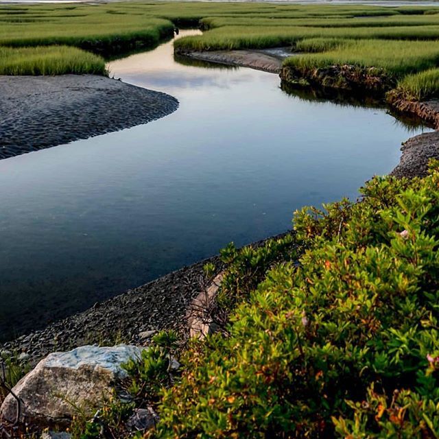 from @pvcollinsphotos — Marsh Swoosh
.
#eastcoast #getoutofthehouse #gooutsideandplay #saltmarshtrail #naturenovascotia #trailsnovascotia #bikenovascotia #cyclenovascotia #getonyourbikesandride #oh_canada #marshmood #coastalviews #goingcoastal #igers_nov… ift.tt/2LRfW8M