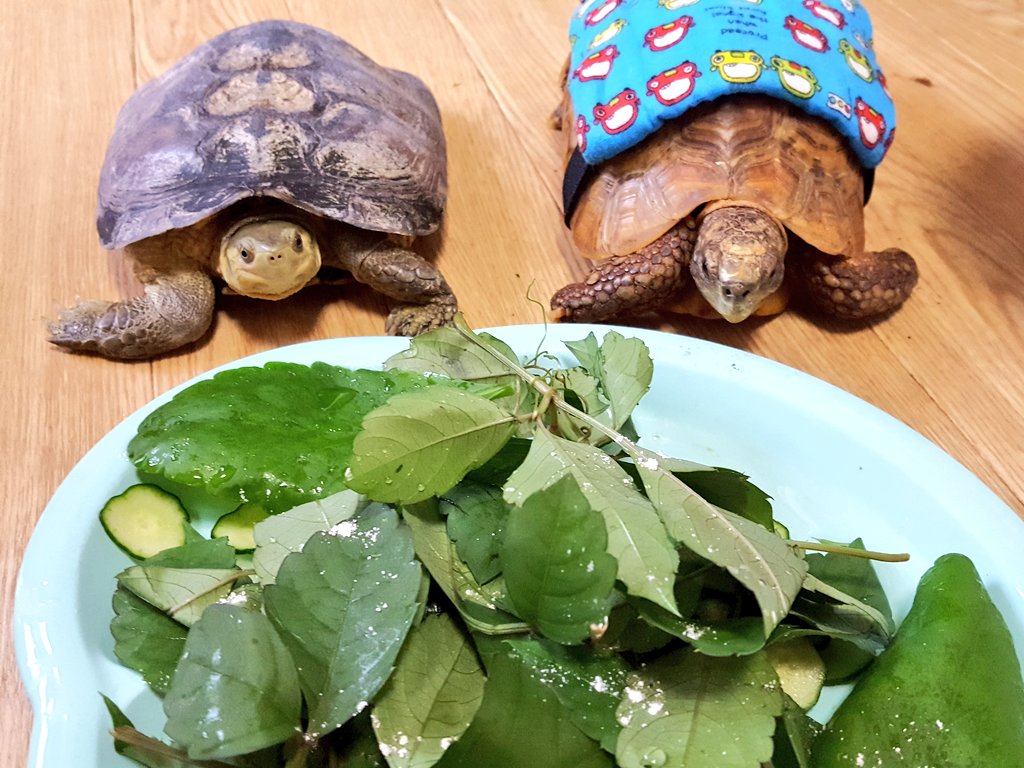 何が見えてる