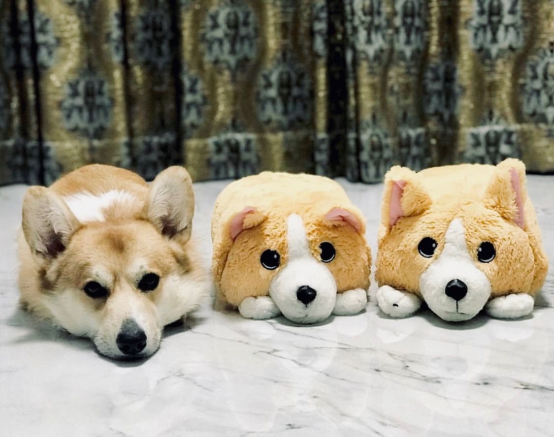 Memory Plush tweet media