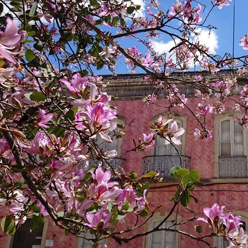 Spring/Summer 2018 - Carnival by Aaron Harris / Shy Guy ift.tt/2M3XngV