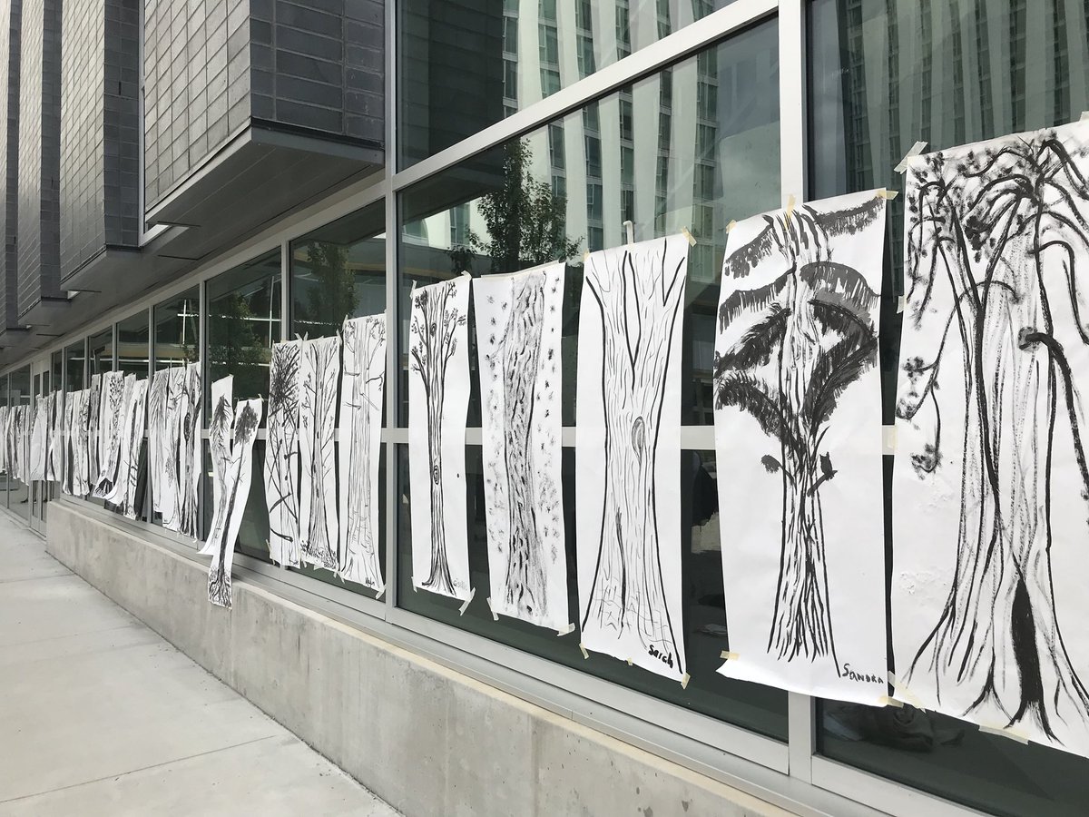 msradomski's tweet image. Our cedar forest. Observe-draw-paint #bccurriculum #summercourse #natureinspired #noticingfromdifferentperspectives