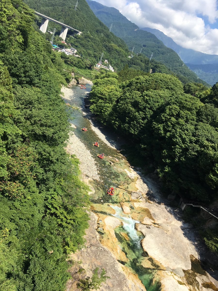 ヤクン tweet media