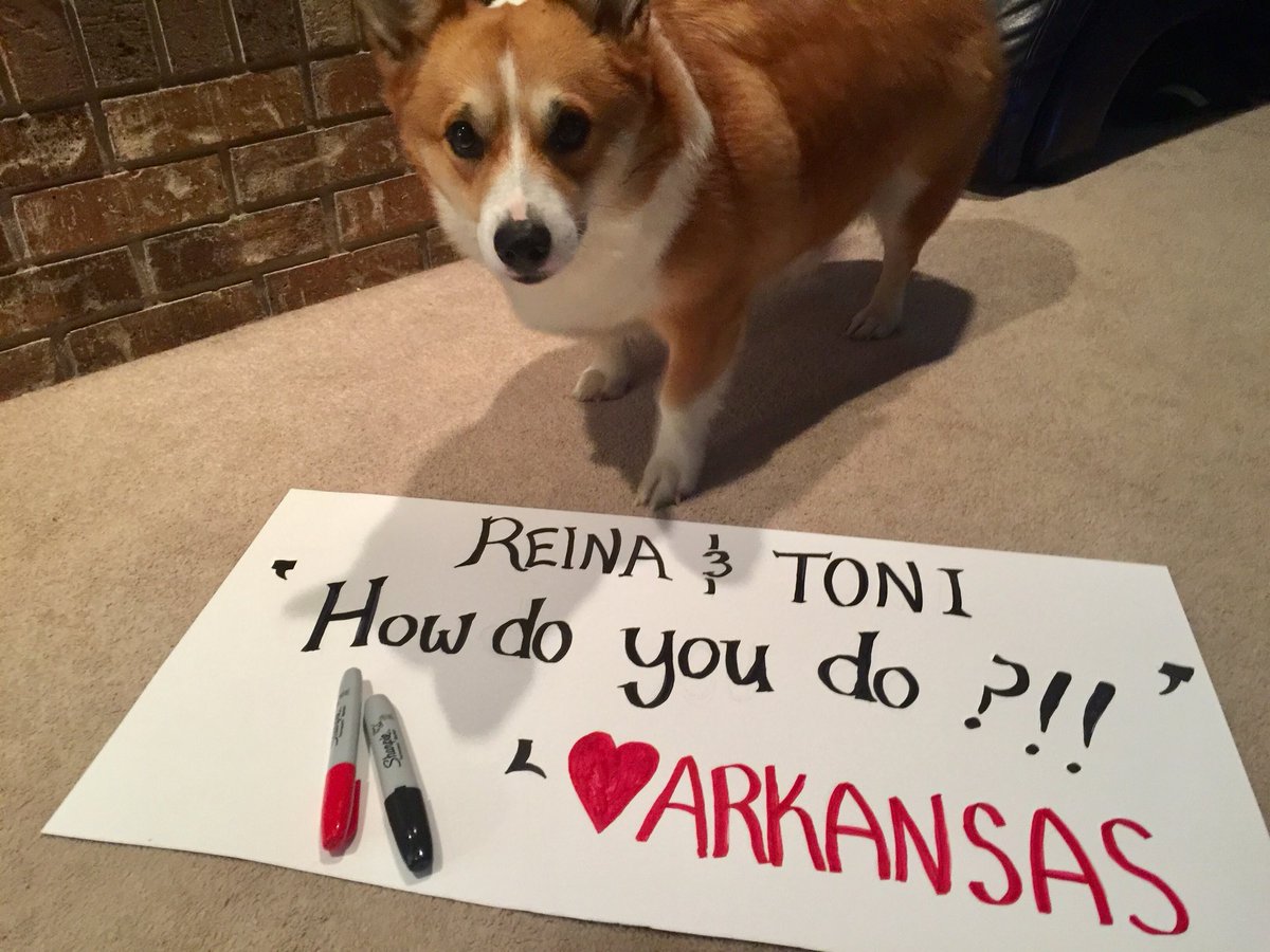 jaclimer's tweet photo. Got my sign ready for the @ReinaDelCid show tomorrow night at the Epic Center in Jonesboro.  Squee!! https://t.co/ukgexRqcjh