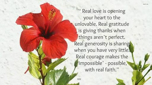 #RealLove....
#RealGratitude....
#RealGenerosity.....
#RealCourage....
#FridayFeeling 
#FF
#JoYTrain