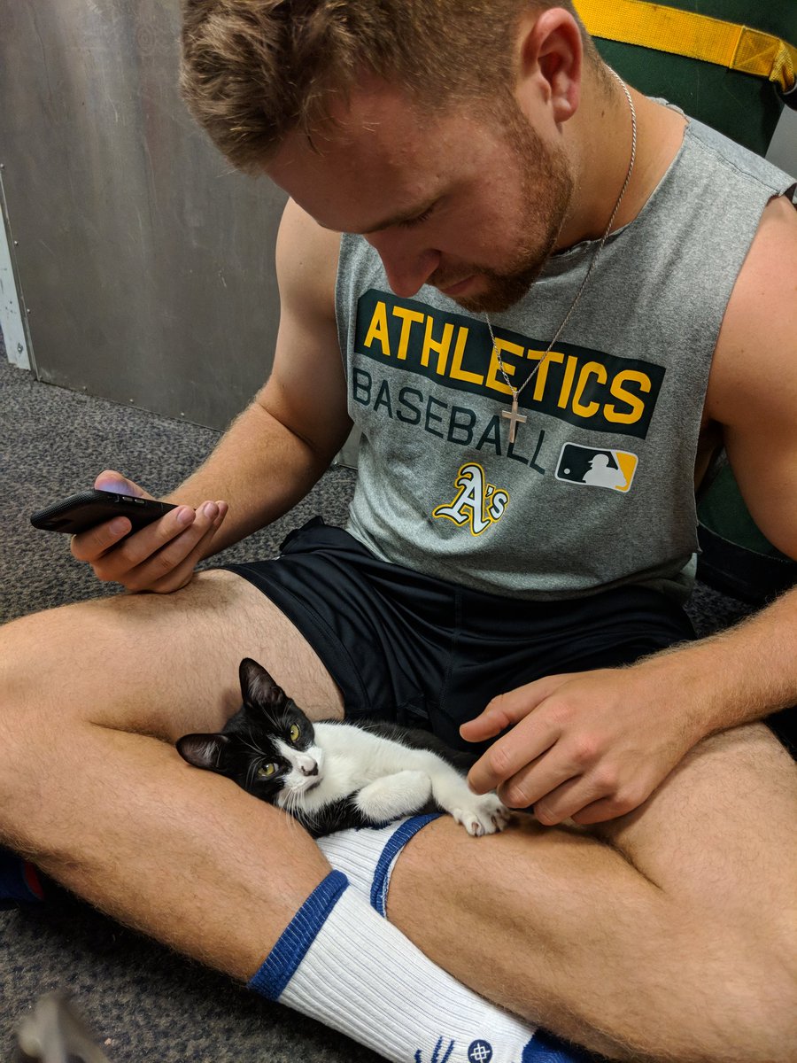 ZackBayrouty's tweet photo. It might be the dog days of summer, but the @stocktonports clubhouse has adopted a stray kitten. She seems pretty attached to @tomasovich_13. https://t.co/d9XEmptDur
