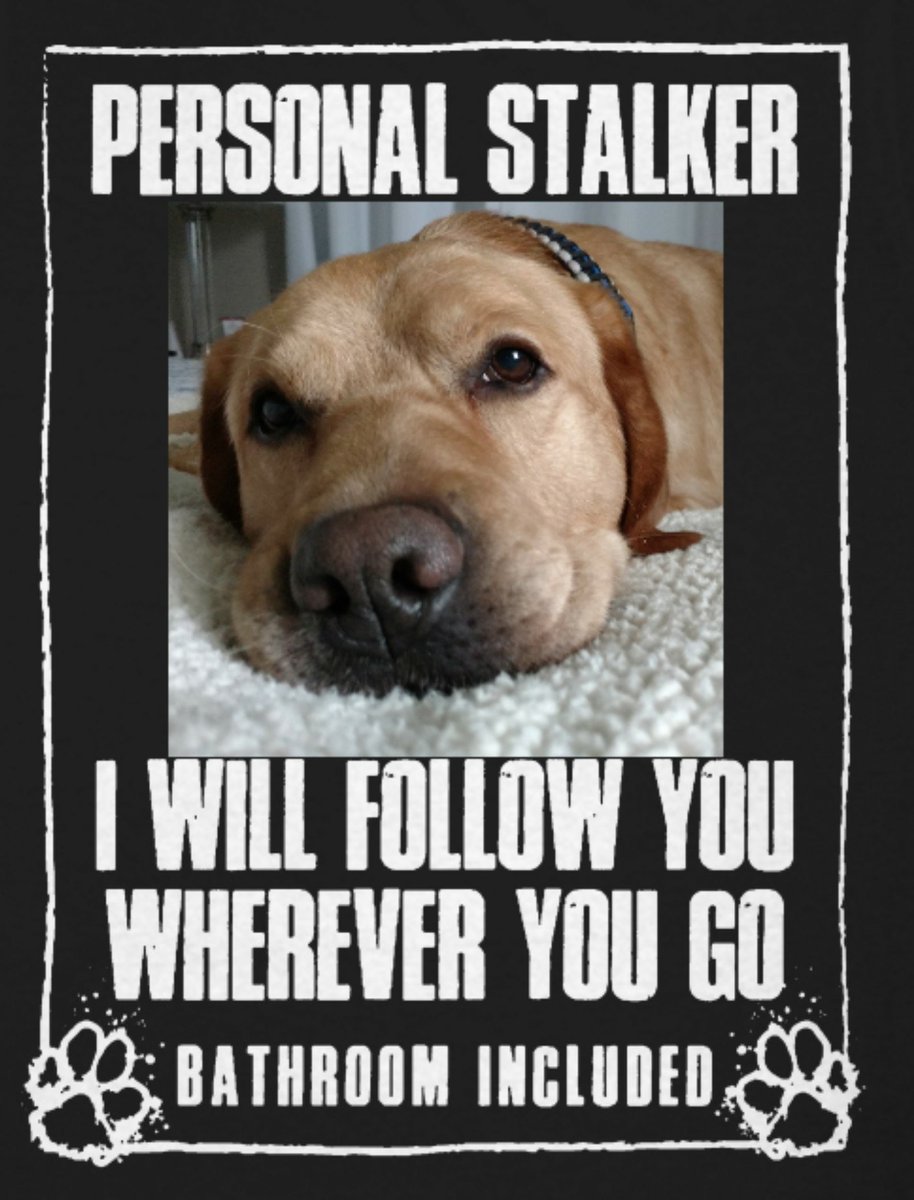 Christina_Roof's tweet photo. #IHaveAStalker 
#Landon 
#PersonalSpace @ClintFalin https://t.co/UUVUkldFVk