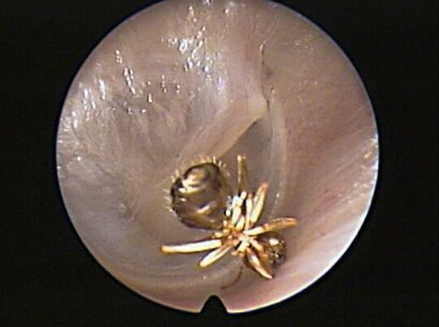 View image on Twitter