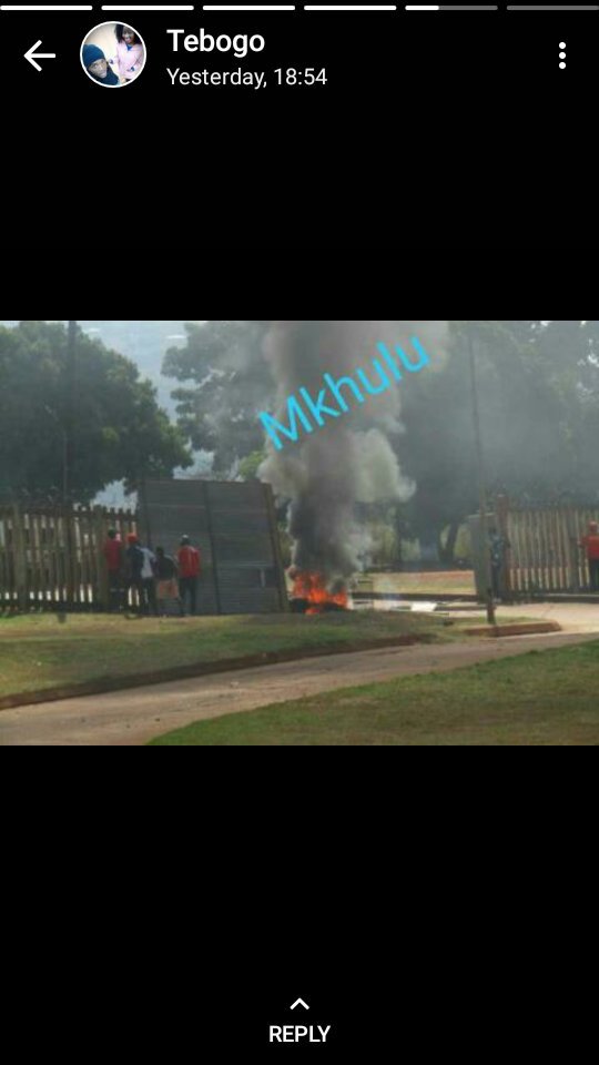 Marndie1's tweet photo. #225Reloaded #univen #UNIVENSTRIKE @MyVenda @N0chillinmzasi π€£π€£π€£ Univen i blind, they defeated the police now they even calling the "Mafoko" private security company to come protect the University after police failed to evict students #TUT watch how it's done π€£ https://t.co/y0ztDEKYqn