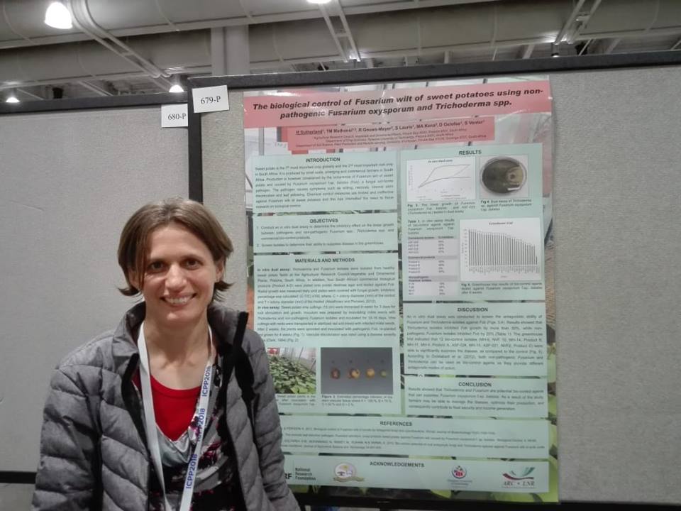 Arc South Africa On Twitter Rene Sutherland Pathologist From Arc Vop Is Working On Biological Controls Of Fusarium Wilt In Sweet Potato She Shared Findings From Her Research At The International Conference