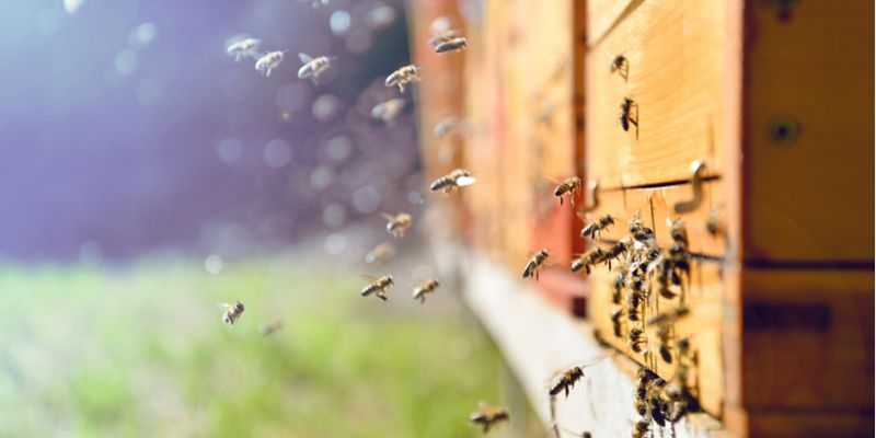 online natur ingenieur und wirtschaftswissenschaften vorträge n 377