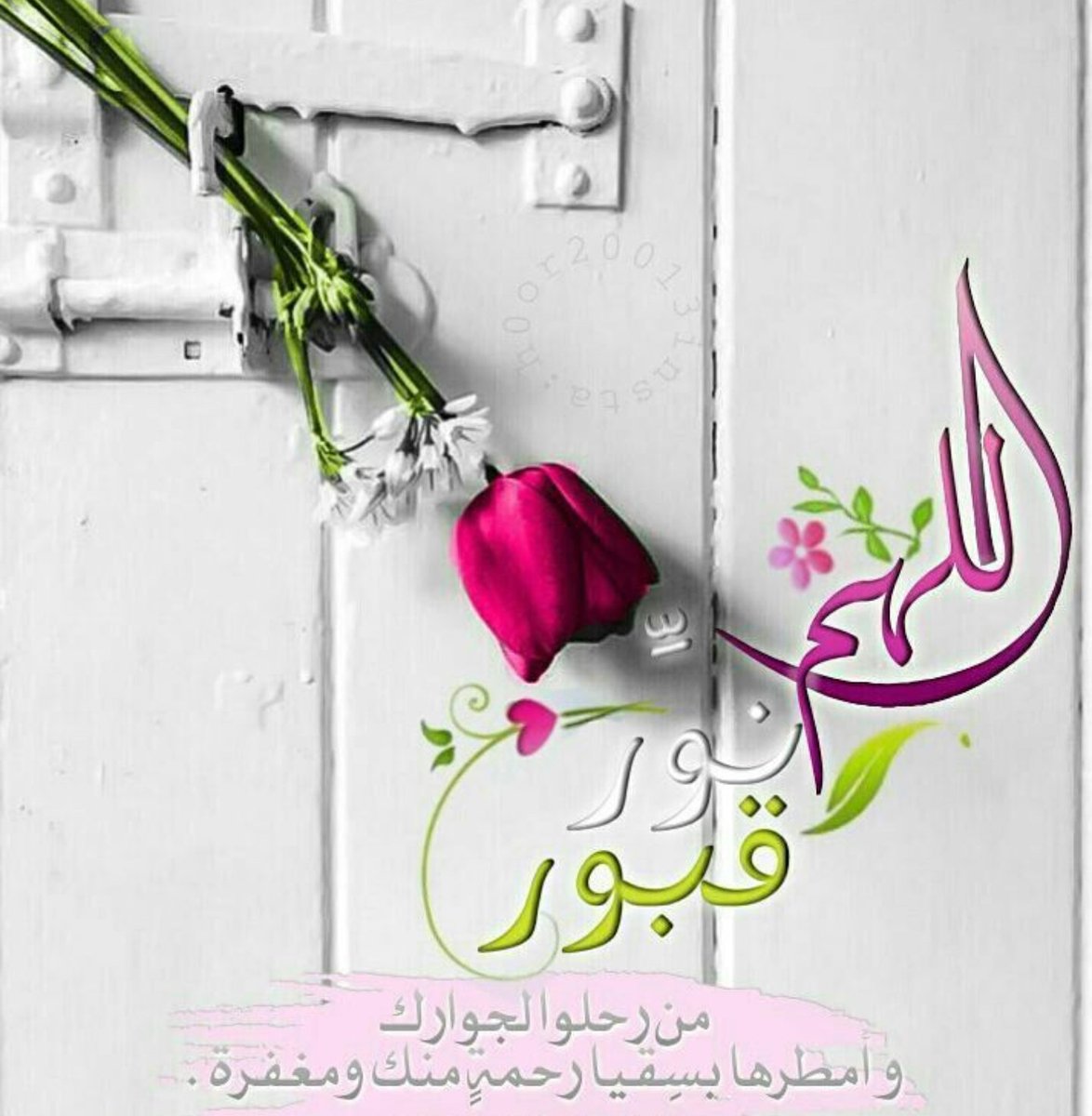 DESLALE1's tweet photo. اللهُـم أرحـم من لا شمس تُشـرق عليهـم
ولا قمـر يُضيء عتمتهـم
اللهُـم أنـر قبـورهـم
وأسقهـم بــ فيضٍ من جـنتك https://t.co/JMpvBqmQn3