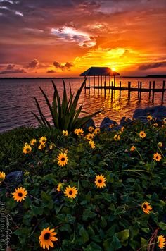 hub_savers's tweet photo. Replying to @skipper275 @555chahm @CM_tanvir @barbie_bitch_00 @Jodaxjoseph and 18 others "He listens well who takes notes." - Dante #quote #mlm #mlsp #iPhone8 #homebiz #solopreneur 

Kall8 : Vanity, 1 800 Numbers, &amp; Toll Free Phone Services - Account ...
https://t.co/YUgW3xdJsA https://t.co/CZOJxvuP45
