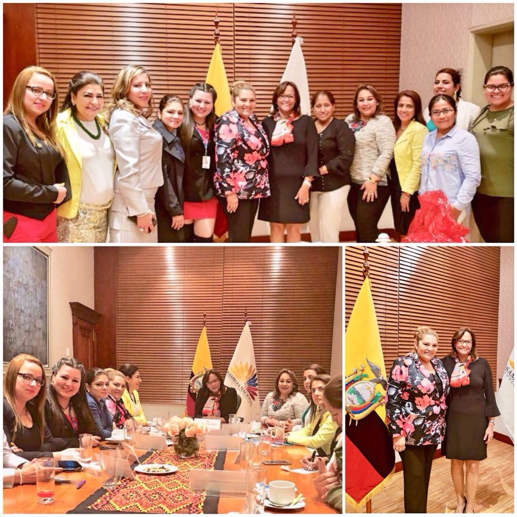 PaulinadeTorres's tweet photo. Mantuvimos importante reunión con nuestra Compañera @ElizCabezas Presidenta de @AsambleaEcuador | Como Asambleístas Alternas compartimos ideales e intercambiamos criterios hacia una @AgendaAsamblea consensuada. Nuestro apoyo y respaldo @Lenin #NuevoMomentoPais #MujeresEsElMomento https://t.co/0ZoulBPATK