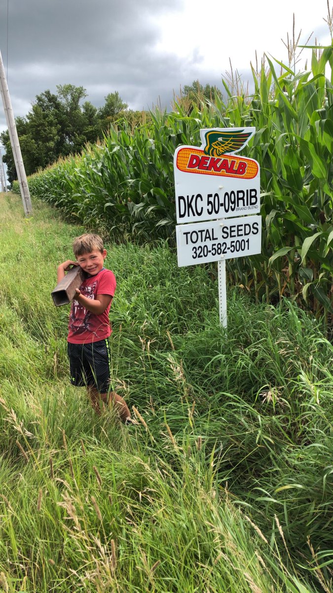 TotalSeeds's tweet photo. It’s exciting to have help from someone so excited about agriculture and being a DEKALB dealer when he grows up!#TotalSeeds #NextNextGeneration #YieldHunt18 #MyFieldView #MyFarmMyYield @DKAS_Minnesota @Asgrow_DEKALB https://t.co/5yUkKGlFJV