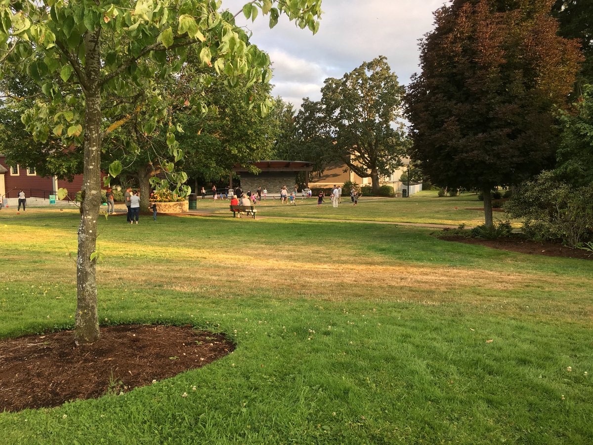 IAmCarlJensen's tweet photo. A beauty night in Brentwood Bay for Play in the Park! It’s 2 bad my kids have aged out &amp; don’t want to go anymore! Tks to the innovative staff at #PanoramaRec for continuing to push the boundaries in the interest of recreation on the #saanpen! @SliderPenguin @crd_bc @BCRPA #csaan https://t.co/W3AAj6XPRb