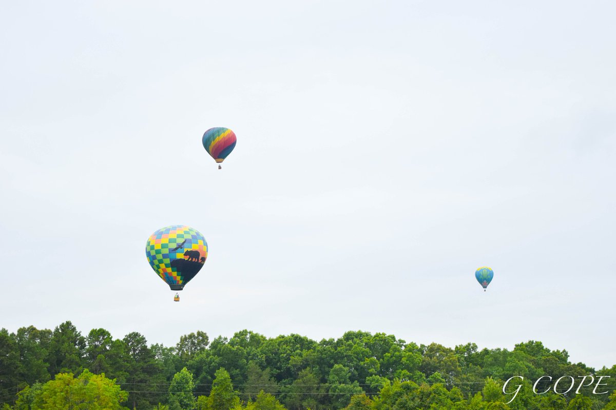 Grace Copeland tweet media